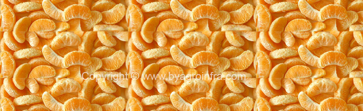 IQF Frozen Orange Mandarin Segments