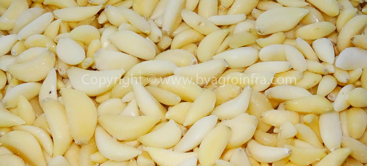 IQF Frozen Garlic Cloves - Peeled