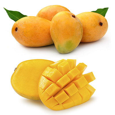 Fresh Indian Mango for IQF Frozen Mango Dices and Slices - Alphonso, Banganapalli, Kesar, Langda, Neelam